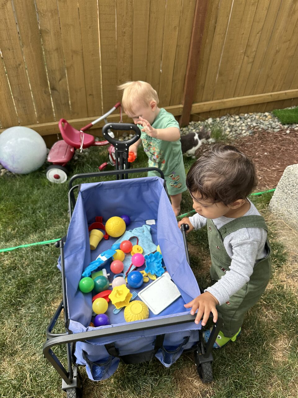 Two toddlers playing outside on the grass by a wooden fence, with a wagon full of colourful toys and a red trike
